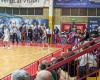 Semifinal interregional de baloncesto de la Serie B, el ultra Pavía anuncia “Invadamos Saronno con o sin entrada”