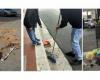 Andria: ciudadanos obligados a limpiar las calles de quienes disparan “barriles” y dejan residuos. El llamamiento de Montepulciano a intensificar los controles y las sanciones para proteger a las familias que separan los residuos