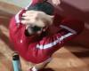 Djokovic golpeado por una botella de agua, el vídeo del accidente en los Internacionales de Italia