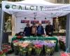 Las plantas en flor de Calcit regresan a Andria para el Día de la Madre, el sábado 11 y domingo 12 de mayo en Viale Crispi