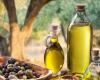 El aceite de Apulia es popular en EE.UU. y Favolosa conquista los paladares