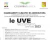 Viticultura, Cantine Colomba bianca presenta la 13ª edición de “The Grapes Tell” en Marsala