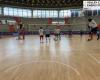 Voleibol, Spike Devils y Europea 92 en el campo – 05/10/2024 – TeleRegioneTV