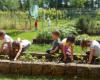 La Provincia Autónoma de Trento visita las guarderías y jardines infantiles del sistema de Parma –
