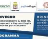 BRINDISI. Jornada sobre “Microcrédito y Mini PIA”. Confesercenti y la región de Apulia juntos por las empresas.