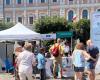 El recorrido de salud comienza en Anzio. Cita el 11 y 12 de mayo en Piazza Garibaldi