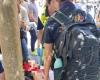 Roma, enfrentamientos entre la policía y los manifestantes que querían llegar a los Estados Generales de Nacimiento: 5 heridos, entre ellos una niña golpeada en la cabeza