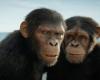 El reino del planeta de los simios vuelve a liderar – La taquilla del viernes 10 de mayo