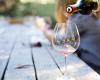 Sicilia en Primeur 2024 presenta el informe de los vinos de añada