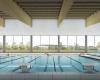 Viareggio, aprobado el proyecto de la nueva piscina de 10 millones de euros