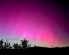 Noche rosa, la aurora boreal colorea el cielo de Livorno – Livornopress
