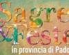 Fiestas y celebraciones en la provincia de Padua: los acontecimientos del fin de semana del 10 al 12 de mayo de 2024 y el especial “Día de la Madre”