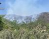 Identificado y denunciado por la policía presunto responsable del incendio en una gran zona boscosa entre las provincias de Catanzaro y Crotone