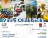 “Vinos y Aceites de Sicilia”, en Trapani AIS Sicilia promueve la cultura y la historia de los dos símbolos mediterráneos – LaTr3.it