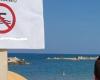 Mar, aquí están las zonas de la costa donde está prohibido nadar – Pescara