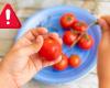 Más de 100 niños envenenados tras comer tomates cherry en el colegio (que el Ministerio había facilitado)