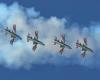 El espectáculo aéreo Frecce Tricolori en Trani: todos con la nariz en alto
