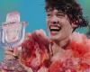 Eurovisión, el general Vannacci desprecia la victoria de Nemo: “Náuseas” – Il Tempo