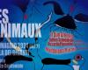 El concierto benéfico “Les Animaux” en la Sala dei Giganti de Padua el 29 de mayo de 2024