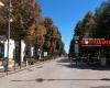 Peatonalización del Corso, la Asociación de Comerciantes de Cerignola pide ver el proyecto
