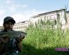 Los peces de antaño regresan al Arno florentino :: Reportaje en Florencia