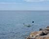 San Remo: un barco pesquero choca contra un muelle y se hunde