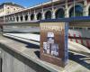 Ladispoli conquista la Feria del Libro de Turín, éxito de “Un largo viaje en el tiempo” • Terzo Binario News