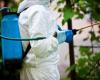 Municipio de Lissone – Ordenanza contingente y urgente para la desinfestación sanitaria en caso de arbovirus “Chikungunya”