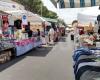 Crotone, medidas de tráfico para la Feria Mariana 2024: circulación en ambos sentidos y prohibiciones de estacionamiento