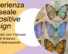 Isia Faenza: experiencia museística y diseño positivo. Un estudio con el Museo Cívico de Ciencias Naturales de Malmerendi