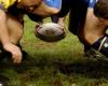 ▼ Serie C de rugby, los Centuriones vuelven a la victoria ante Bérgamo – BsNews.it
