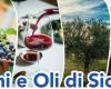 “Vinos y Aceites de Sicilia”, en Trapani AIS Sicilia promueve la cultura y la historia de los dos símbolos mediterráneos • Portada