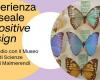 El Museo Malmerendi de Faenza es protagonista de una tesis de grado en Comunicación de ISIA