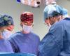 Extracción de múltiples órganos de un donante de 41 años – lasiciliaweb
