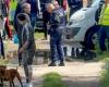Milán, niña de 2 años y medio mordida por pitbull: es grave