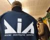 La ‘Ndrangheta y las drogas, 142 investigados en Cosenza: maxioperación contra el “clan italiano”