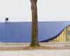 En Brugnera (Pn), Settanta7 diseña una escuela que parece una ballena