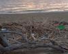 Playa sin residuos’, dos días para limpiar la costa en San Pietro Lametino