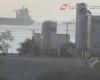 Taranto: la Guardia Costera denuncia la contaminación en la acuicultura – Pugliapress