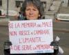 Monza, basta de guerras: una pancarta en el municipio pide “alto el fuego en todas partes”