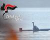 El pequeño submarino narco que los traficantes pueden pilotar a distancia: 9 detenciones