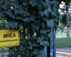 Bolonia, violación en el parque Montagnola: detenido un joven de 25 años