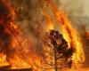 Lucha contra los incendios forestales de verano: una ordenanza sindical establece obligaciones y prohibiciones