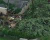 Un árbol se derrumba sobre una casa, un niño de 3 años muere en la cama por un repentino tornado en EE.UU.: “Sin aviso”