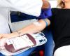 En Trentino se recolectan casi 26 mil bolsas de sangre entera, Día Mundial del Donante: “Es fundamental difundir la cultura del don”