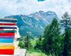 Una montaña de libros: todos los nombres de la decimoquinta edición de verano