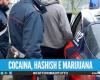 Kilos de droga de Secondigliano a Molise, la red de narcotráfico desmantelada: 6 detenciones