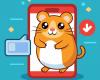 Hamster Kombat: Es total FOMO para tocar para ganar en Telegram