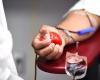 Día del donante, el presidente de Avis: «Primeras marcas de sangre en Italia, pero hay escasez de plasma» – Noticias Ancona-Osimo – CentroPagina