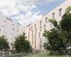 La nueva residencia de estudiantes de madera llega a Padua: 235 plazas en nombre de la sostenibilidad